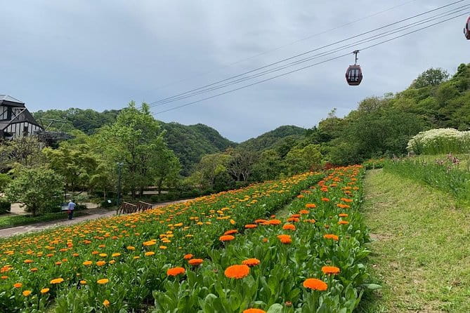 Kobe Private Tour From Osaka (Shore Excursion Available From Osaka or Kobe Port) - Cancellation and Refund Policy