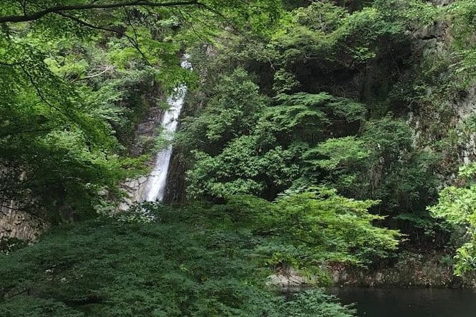 Kobe Private Tour From Osaka (Shore Excursion Available From Osaka or Kobe Port) - Discovering Kobes Sake Breweries