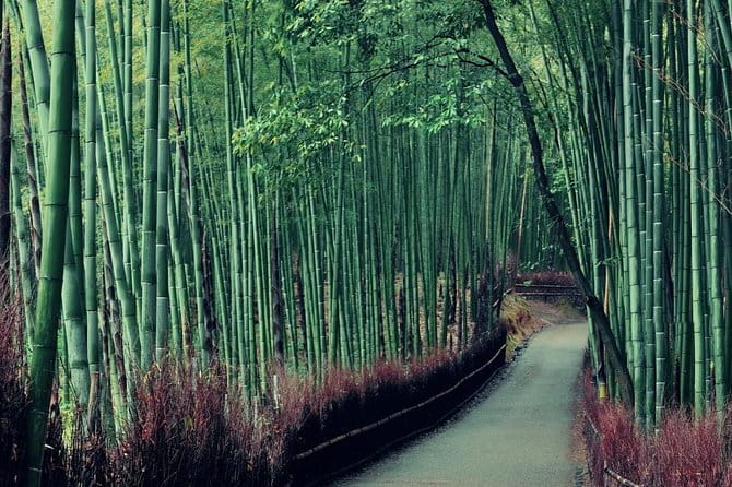 Kobe Shore Excursion to Kyoto - Meeting and Pickup Information