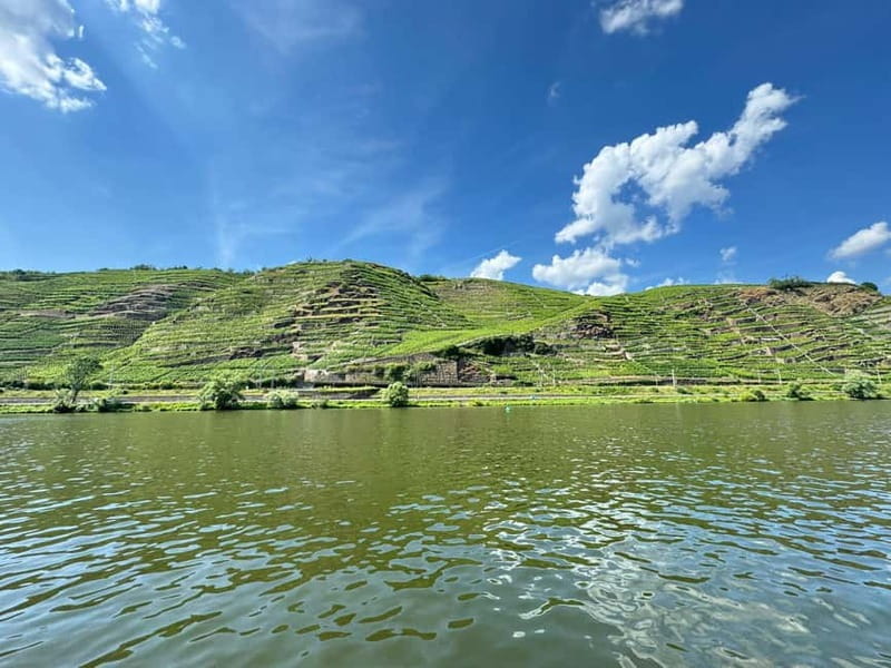 Koblenz: Private boat tour on the Moselle + wine experience - Key Points / Takeaways