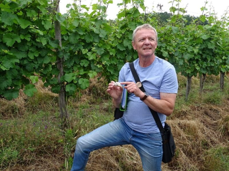 Koblenz: The Living Vineyard, Nature & Wine Enjoyment - Overall Impression