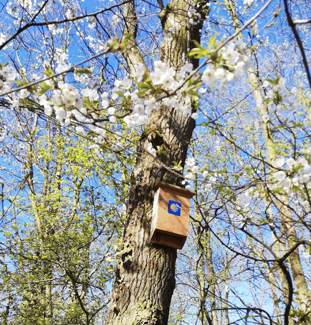 Koblenz: The Living Vineyard, Nature & Wine Enjoyment - FAQs