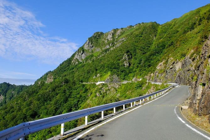 Kochi Full-Day Private Trip With Government-Licensed Guide - Customer Feedback and Experiences