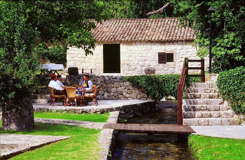 Konavle Valley and Falcon Fortress Half Day Tour with Lunch - Hearty Traditional Lunch: Comfort Food with a Local Twist