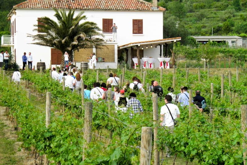 Konavle Valley: Tour with Wine Tasting from Dubrovnik - Key points / Takeaways