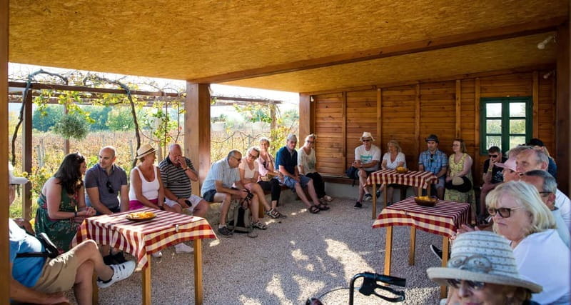 Konavle Valley: Tour with Wine Tasting from Dubrovnik - Duration, Logistics, and What You Should Know