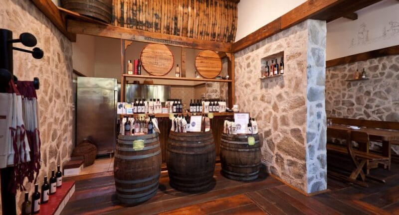 Konavle Valley: Wine tasting at Dubrovnik Cellars - Entering the World of Konavle Wines