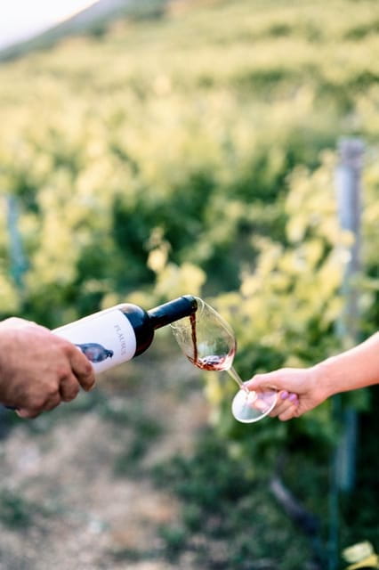 Konavle Valley: Wine tasting at Dubrovnik Cellars - Who Would Enjoy This?