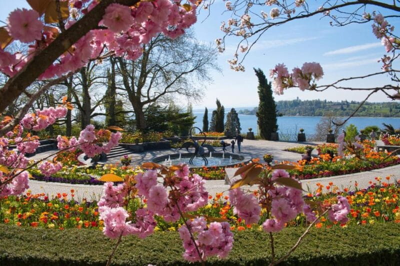 Konstanz: Mainau Island Entry Ticket - Fun for Families: Adventure Playgrounds and More