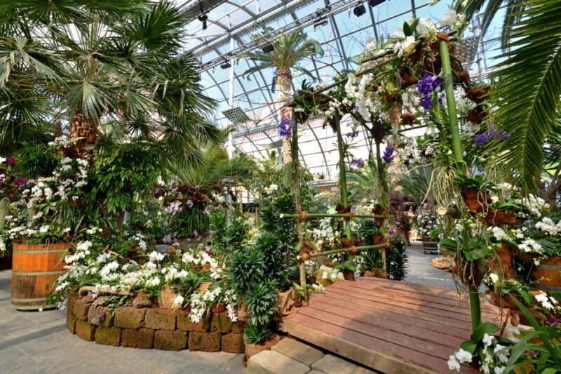 Konstanz: Mainau Island Entry Ticket - Timing and Logistics: Making the Most of Your Day