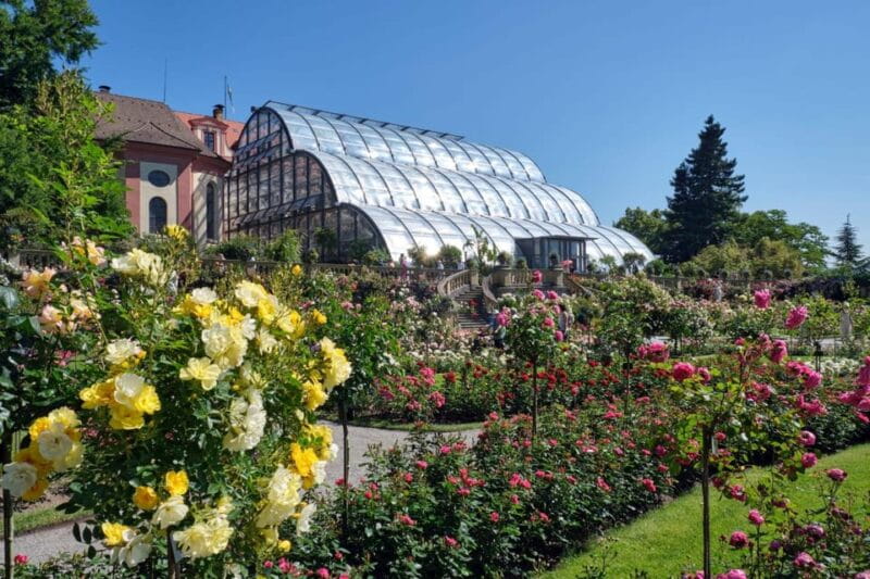 Konstanz: Mainau Island Entry Ticket - Price and Value: Is It Worth It?