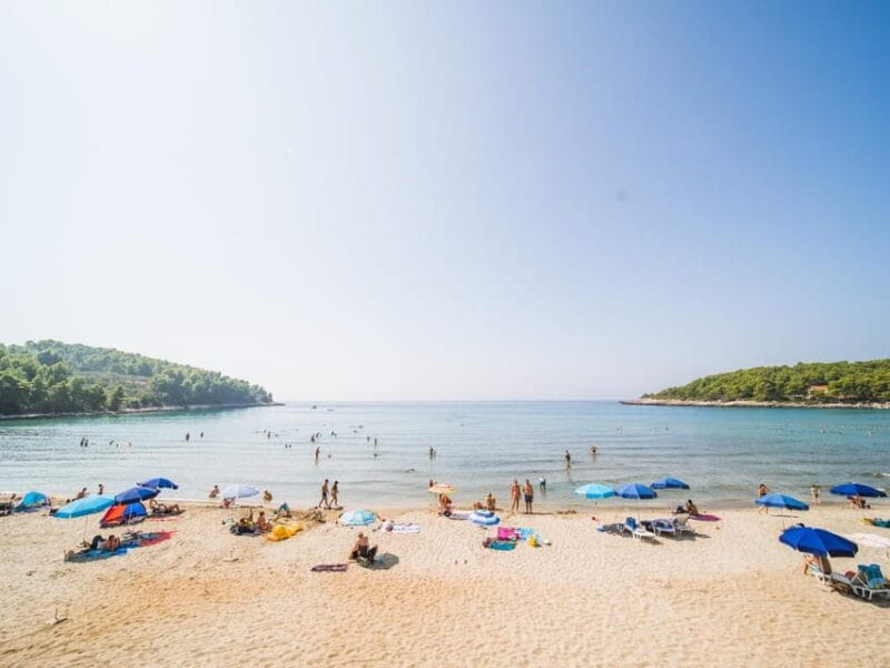 Korcula Buggy Safari With Wine Tasting - Price and Logistics: Good Value for a Full Afternoon