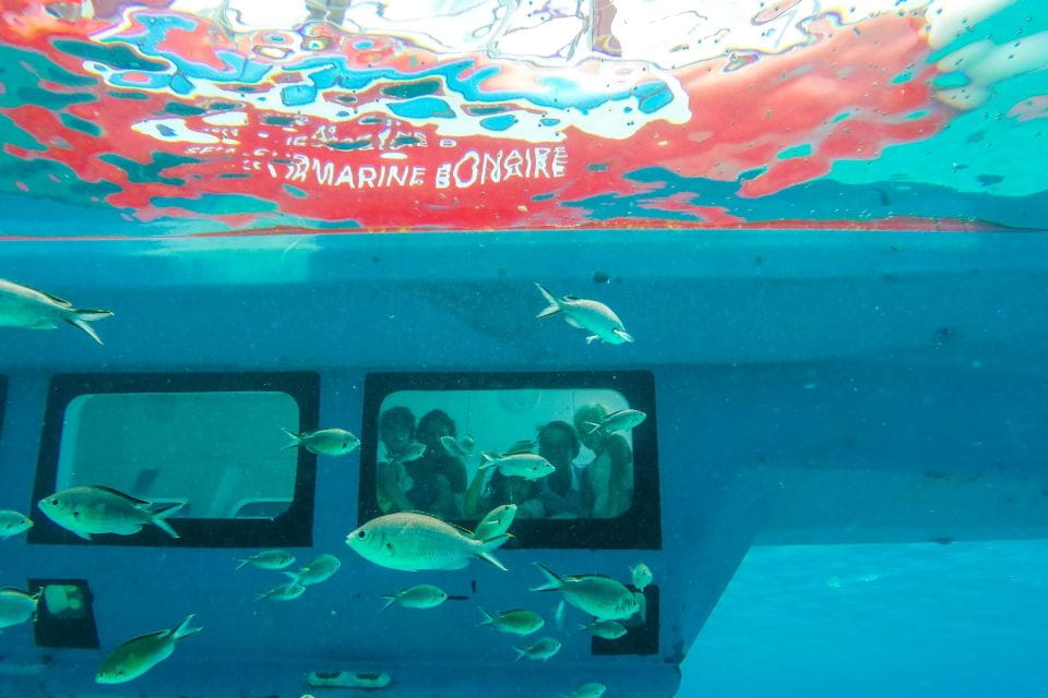 Korcula: Semi-Submarine Tour - Location and Starting Point