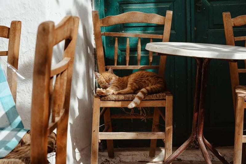 Koronos: Cook, Craft & Explore a Traditional Naxian Village - FAQ