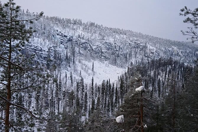 Korouoma Canyon & Ranua Zoo Tour - Key points / Takeaways