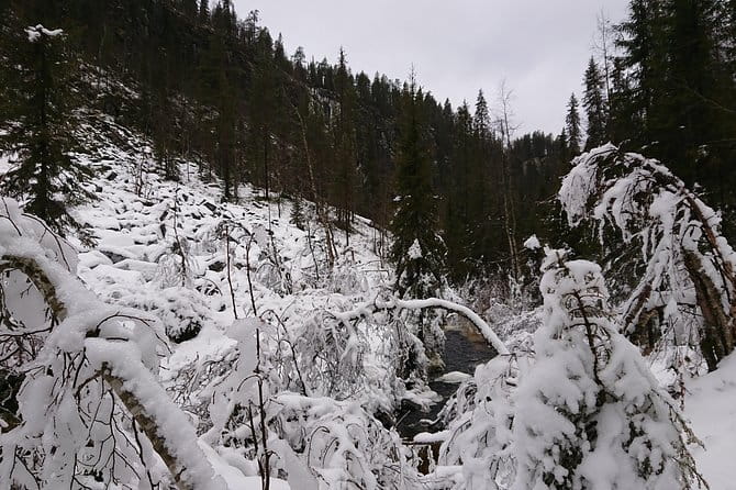 Korouoma Canyon & Ranua Zoo Tour - Exploring the Arctic’s Beauty: Korouoma Canyon & Ranua Zoo in a Day