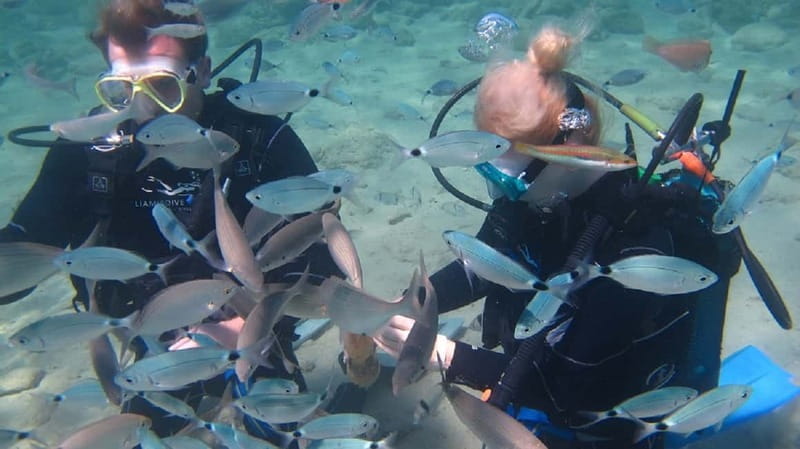 Kos: Beginner Scuba Diving at Pserimos Island - Key points / Takeaways