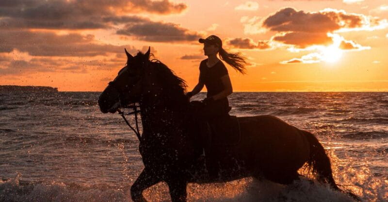Kos: Horse Riding Experience on the Beach with Instructor - Experiencing Kos from a New Perspective: Horseback on the Beach