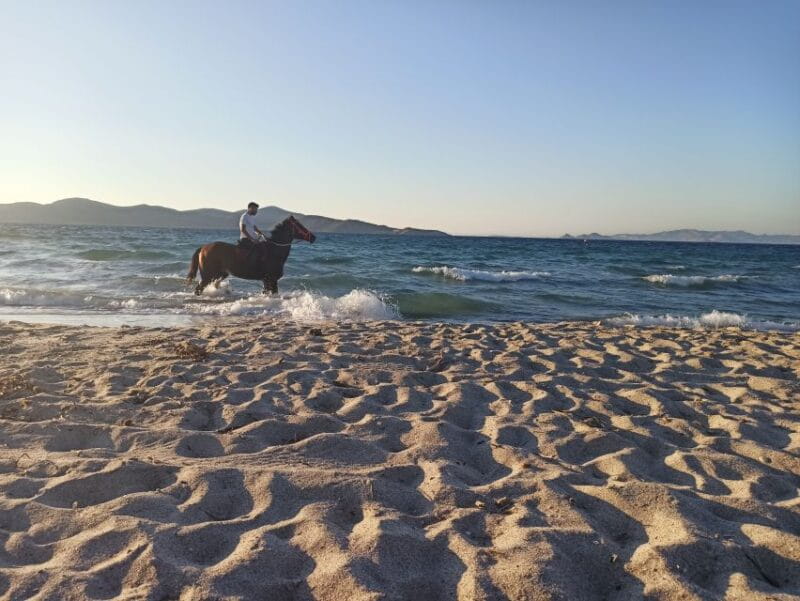 Kos: Horse Riding Experience on the Beach with Instructor - FAQ