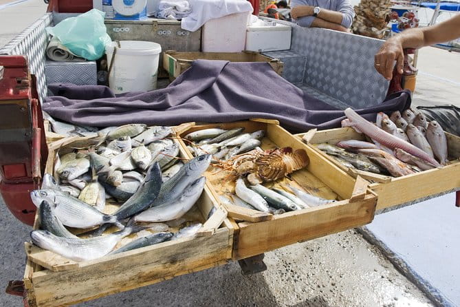 Kos Island tour - Final Thoughts