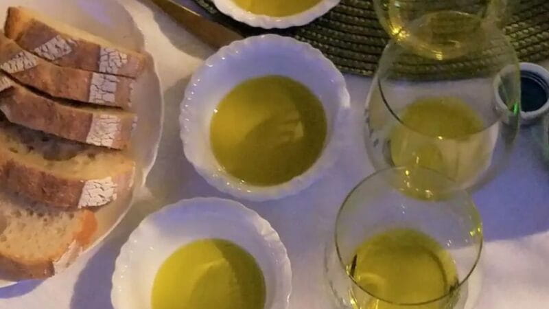 Kos Olive Oil Tasting & Farm Experience - What to Expect During the Farm Tour