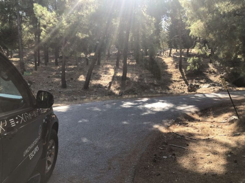 Kos: Sunset Safari Tour with Dinner - Scenic Drive to Zia Village & Dinner