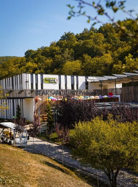 Kosovo: Bear Sanctuary Prishtina, (guided tour & shuttle) - Visiting Kosovo’s Bear Sanctuary Prishtina: A Detailed Experience