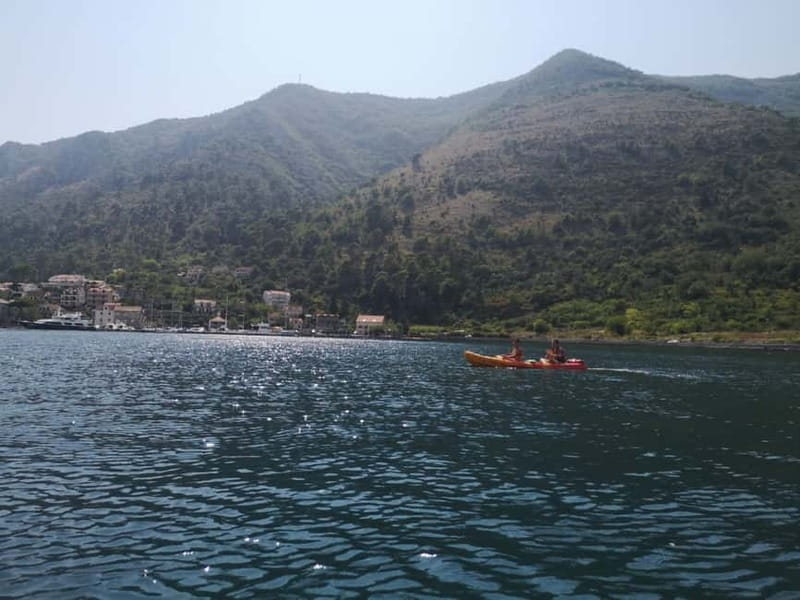 Kotor: Guided Kotor Bay Kayaking Tour - Exploring Kotor Bay by Kayak: An Authentic and Scenic Adventure