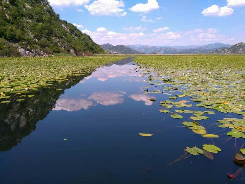 Kotor: Skadar Lake National Park with Wine Tasting - FAQ