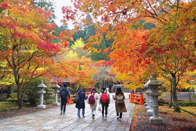 Koyasan Full-Day Private Tour - Accessibility and Additional Information