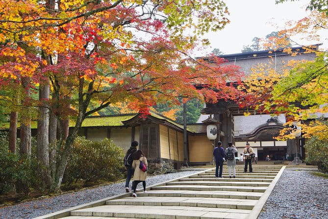 Koyasan Full-Day Private Tour - Kongobuji Temple and Shingon Esoteric Buddhism