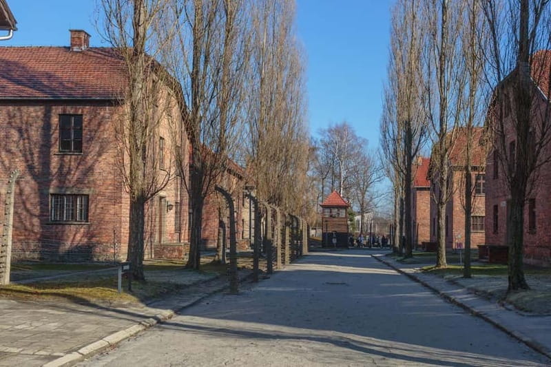 Krakow: Auschwitz-Birkenau Entry Ticket and Transfer - Key Points / Takeaways