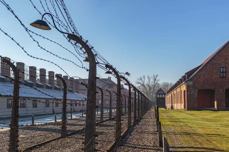 Krakow: Auschwitz-Birkenau Entry Ticket and Transfer - Respectful and Well-Organized Experience