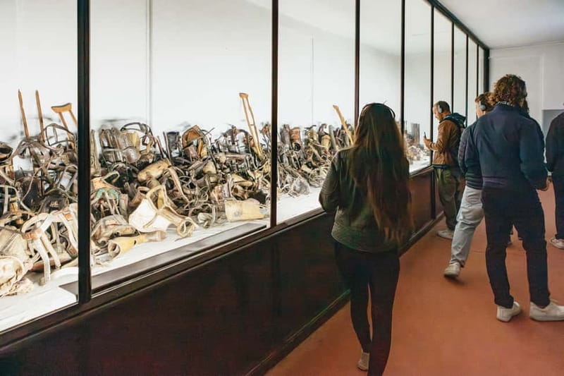 Krakow: Auschwitz-Birkenau Guided Tour with Pickup - Returning to Krakow: The Long Ride Back