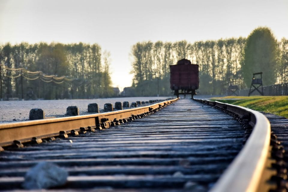 Kraków: Auschwitz-Birkenau & Salt Mine Full-Day Guided Tour - Highlights and Educational Value