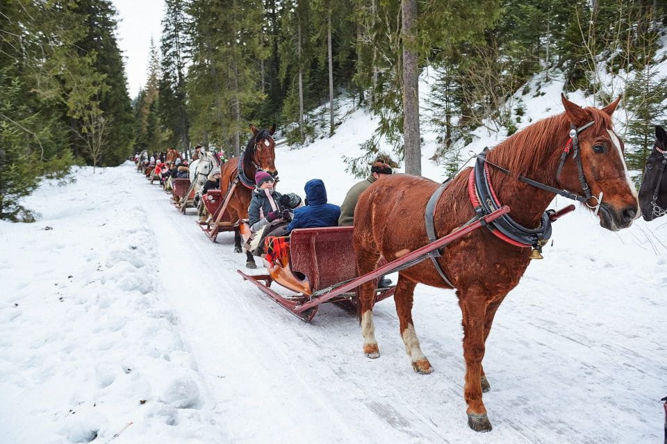 Kraków Frame; Tatra Mountain Sleigh Ride in Zakopane - Frequently Asked Questions