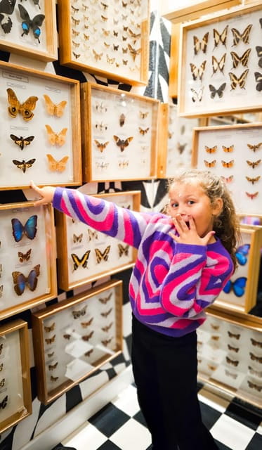 Krakow: Museum of Living Butterflies 2+2 - Key points / Takeaways
