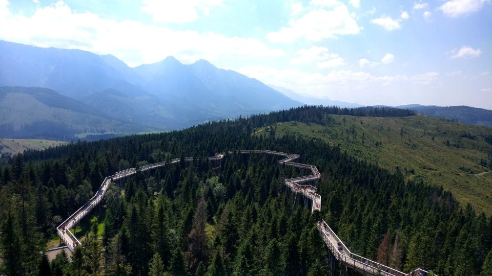 Krakow: Slovakia Treetop Walk and Thermal Baths Small Group - Customer Feedback and Ratings