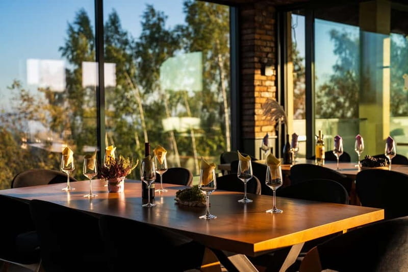 Krakow: Vineyard Tour with Wine Tasting and Dinner - Tasting the Wines: A Gallery of Flavors