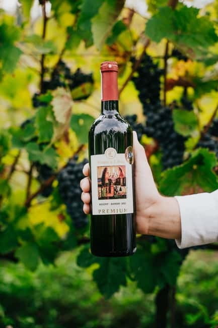 Krakow: Vineyard Tour with Wine Tasting and Dinner - The Return Journey and Final Impressions