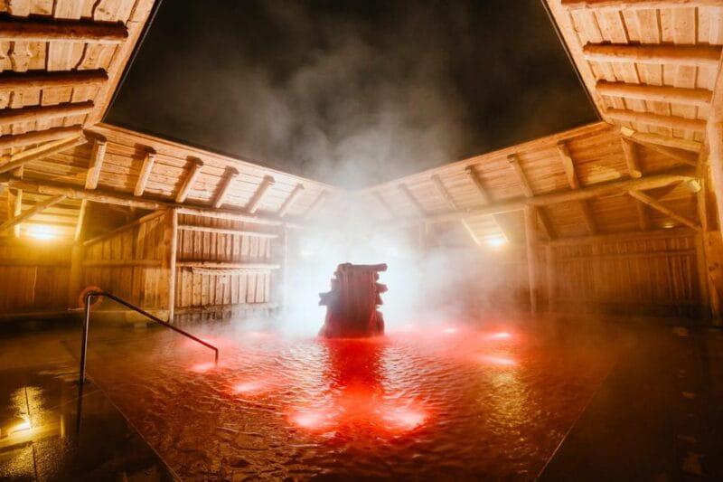 Krakow: Zakopane Cable Car, Vodka, Cheese & Hot Springs Tour - Price and Logistics: Getting the Most Out of Your Day