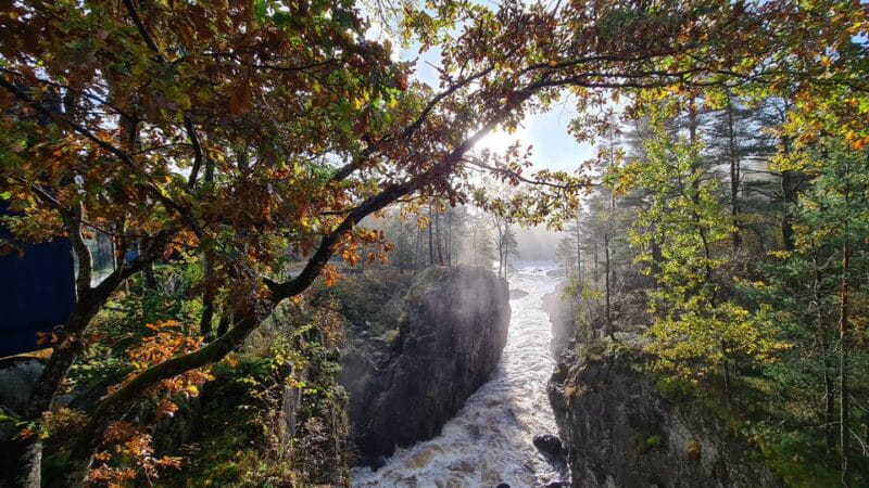 Kristiansand: Wild Salmon Center Guided Tour with Bus Ride - Entering the World of Norway’s Wild Salmon