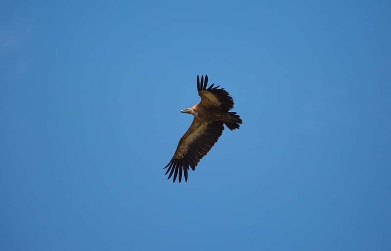 Krk : Sailing along the coasts of island Krk and Plavnik - What to expect from the logistics and comfort