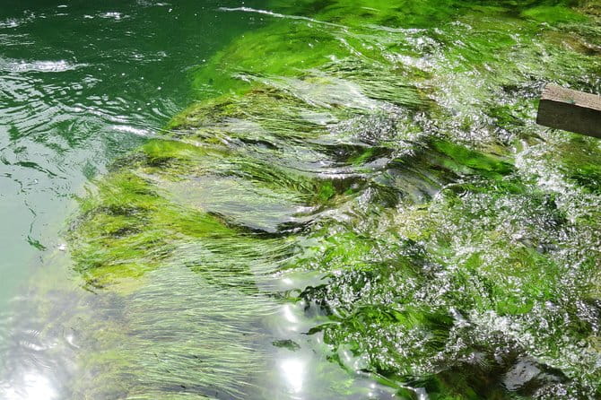 Krka waterfalls luxury tour for singles or couples - Authentic Dalmatian Lunch at Agroturizam Anin Dvor