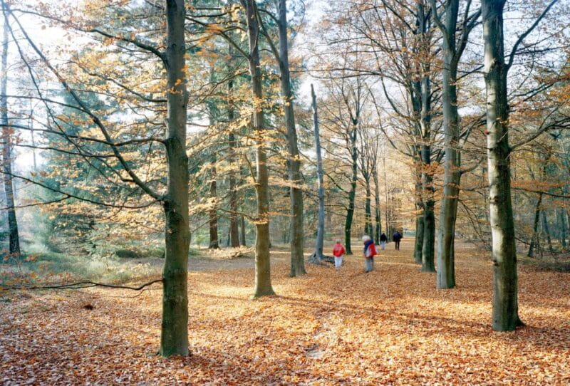 Kröller-Müller Museum Entrance Ticket - Key points / Takeaways