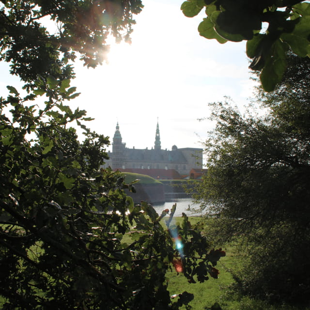 Kronborg Castle Entry Ticket - Practical Aspects: Access, Timing, and Value