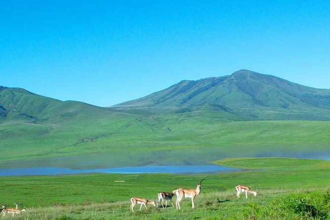 Kumamoto Castle Kusasenri and Aso Crater Tour in Fukuoka/Kumamoto - Inclusions and Exclusions of the Tour