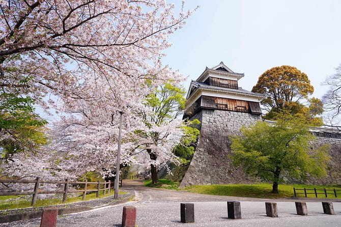 Kumamoto Private Customizable Half Day Tour - Inclusions and Customization Options