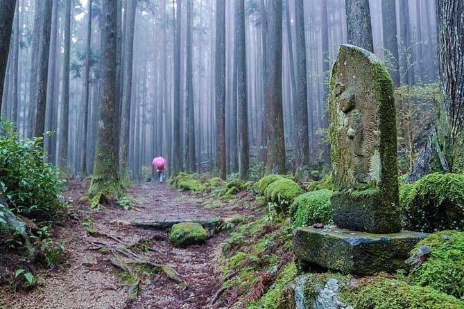 Kumano Kodo Pilgrimage Full-Day Private Trip With Government Licensed Guide - Highlights of the Kumano Kodo Pilgrimage