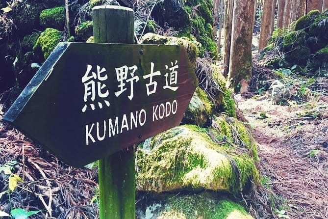 Kumano Kodo Pilgrimage Full-Day Private Trip With Government Licensed Guide - Preparing for Your Kumano Kodo Adventure